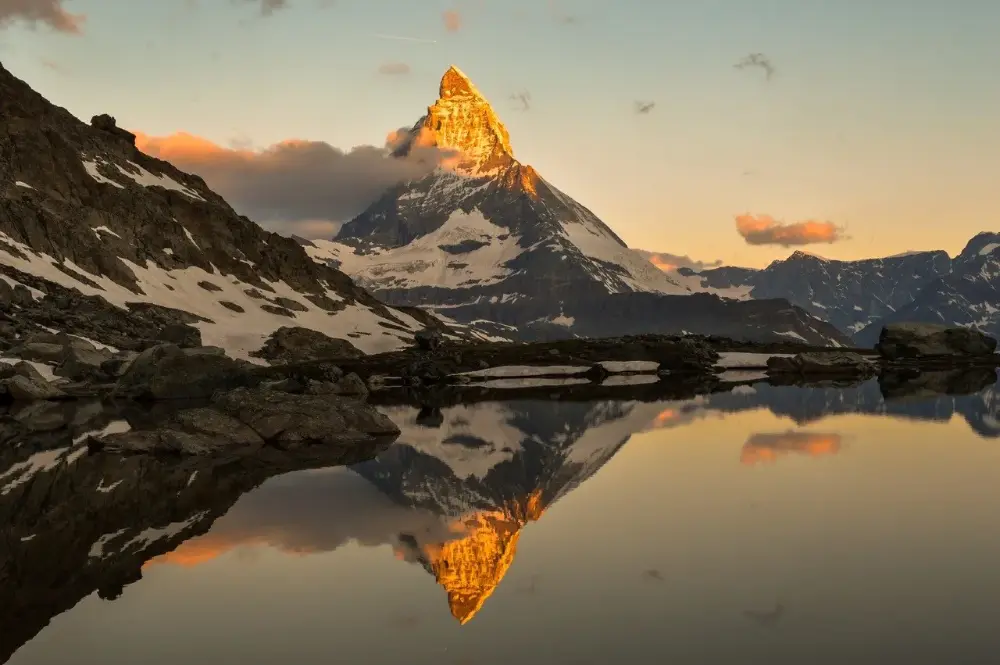 14+1 state-of-the-art Swiss companies that can change the food industry
